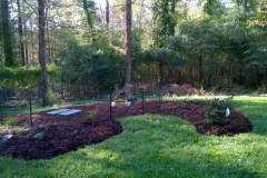 beeyard1