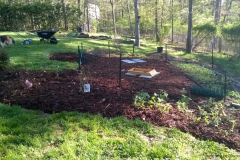 beeyard2