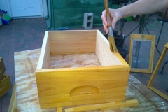staining-hive-bodies